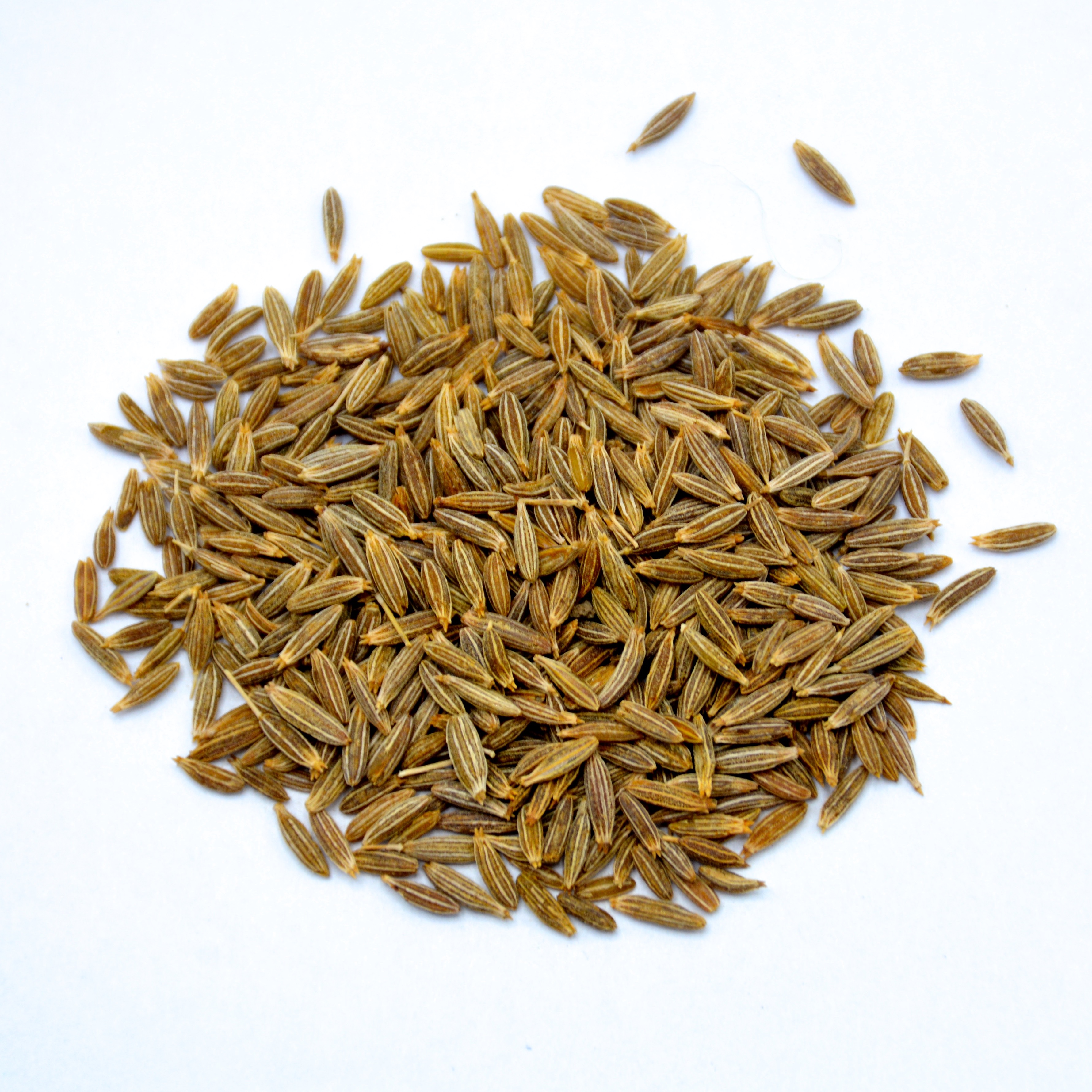 Cumin Seed 1 oz